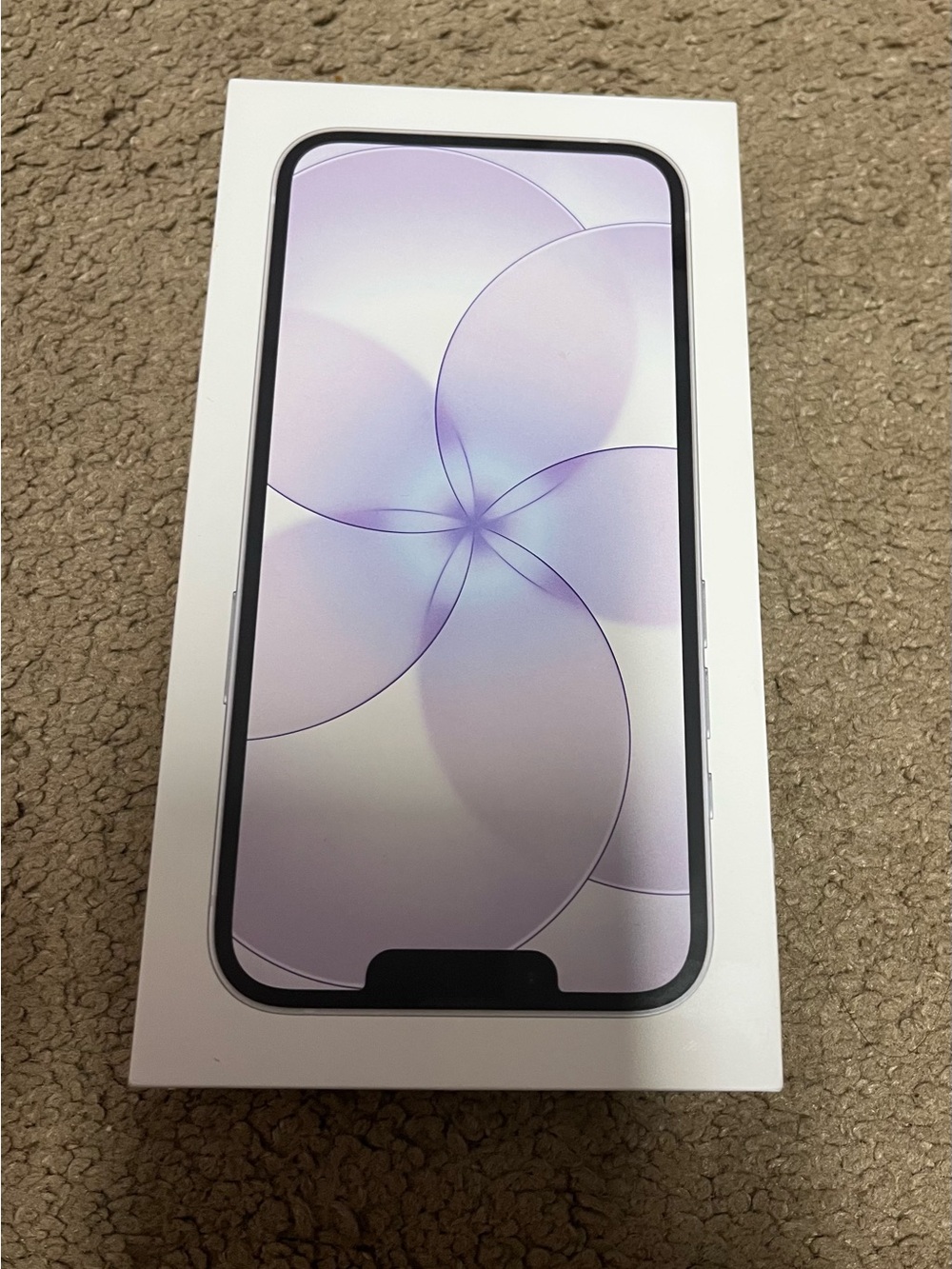 Empty Apple iPhone box for 17e phone-